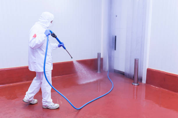 Best Solar Panel Cleaning  in Eglin Af, FL